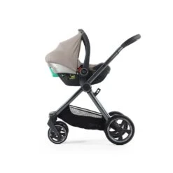 Oyster 4 Ultimate Bundle | Stone -Beautiful Bambino Oyster4 Stone 4